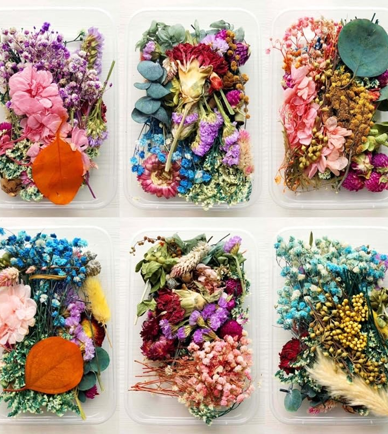 Natural Real Dried Flowers for Art Craft Mixed Soap