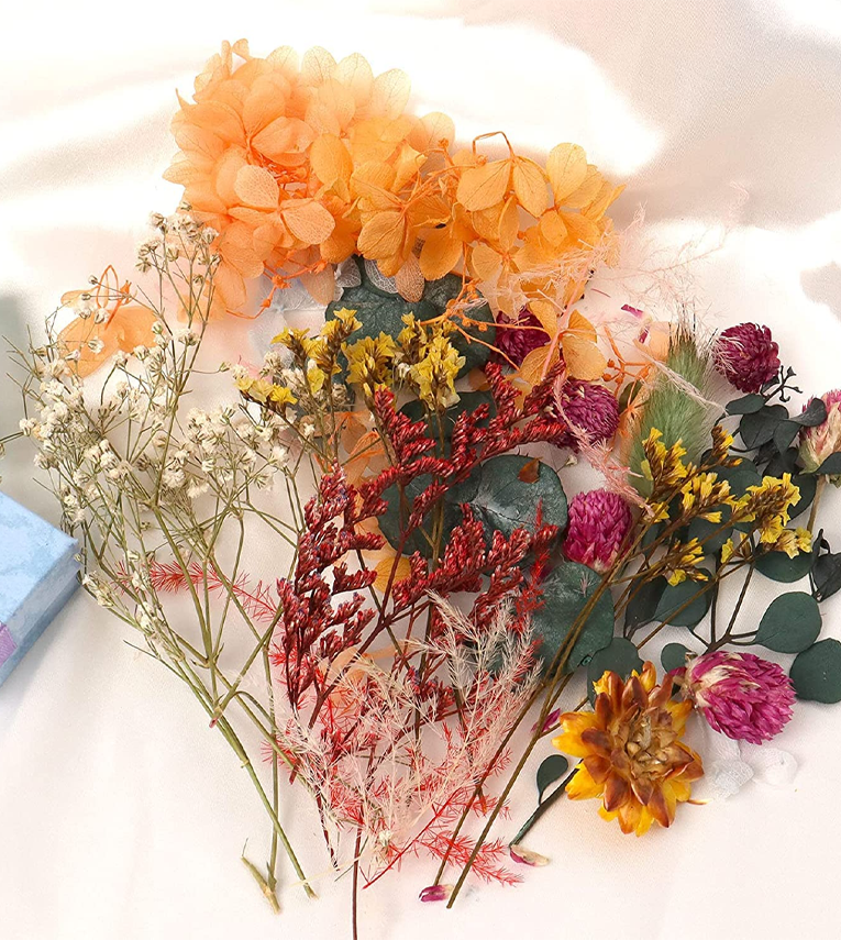 Natural Real Dried Flowers for Art Craft Mixed Soap