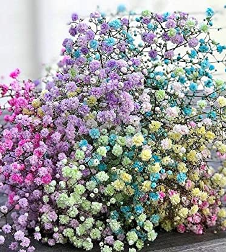 Natural Real Dried Flowers for Art Craft Mixed Soap