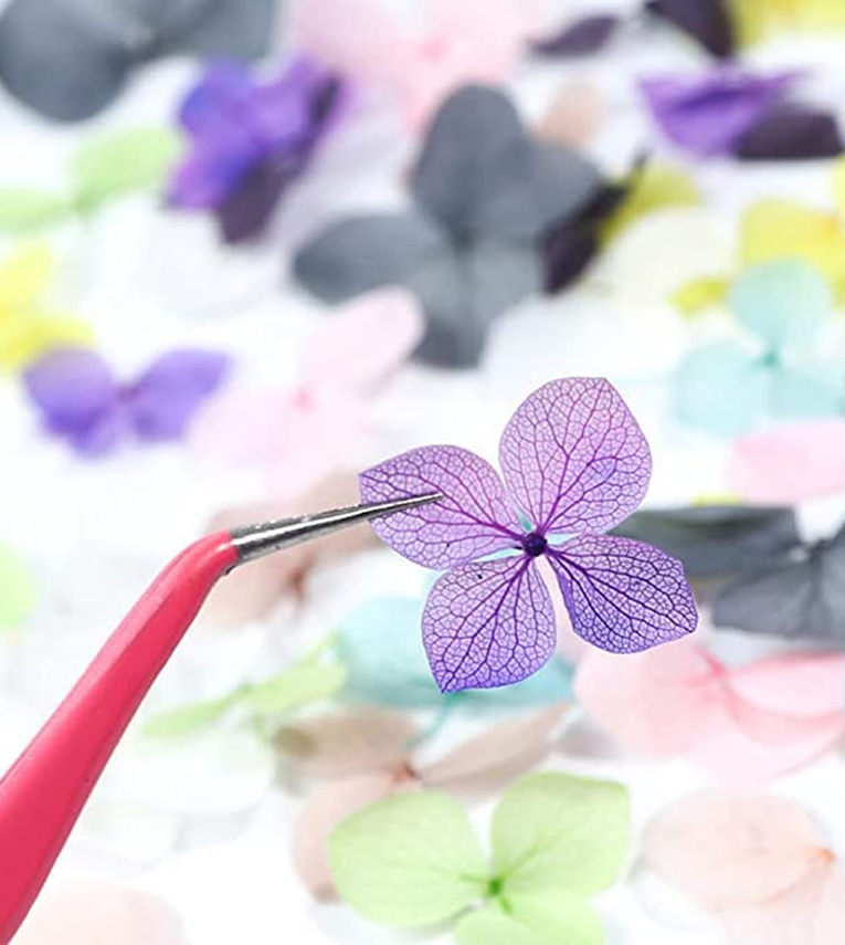 Natural Real Dried Flowers for Art Craft Mixed Soap
